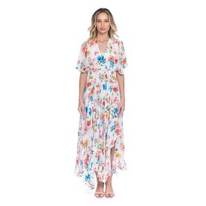 Tolani Daphne Dress with Floral Print sz small